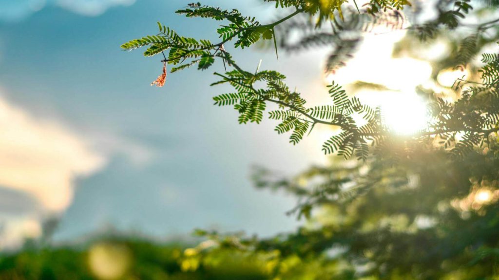 Viobetta – Pioneering Sustainability in Industrial Air Quality